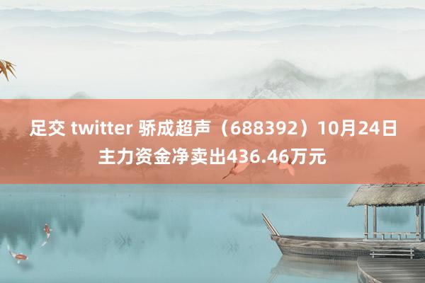 足交 twitter 骄成超声（688392）10月24日主力资金净卖出436.46万元