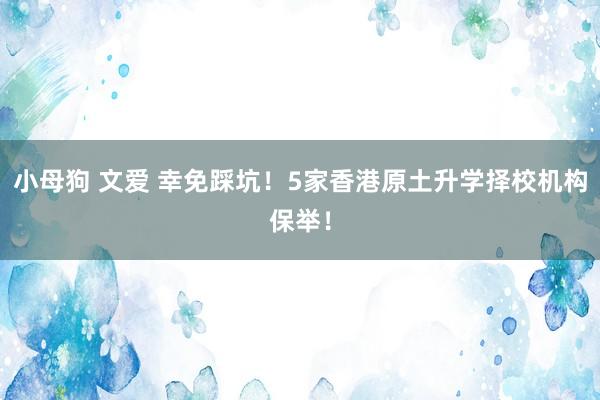 小母狗 文爱 幸免踩坑！5家香港原土升学择校机构保举！
